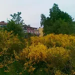 Goscinne Zosia Władysławowo