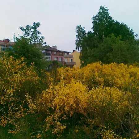 Goscinne Zosia Władysławowo