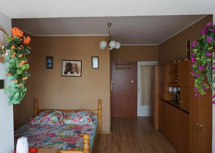 Goscinne Zosia Władysławowo