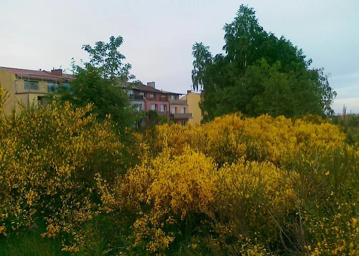 Goscinne Zosia Władysławowo