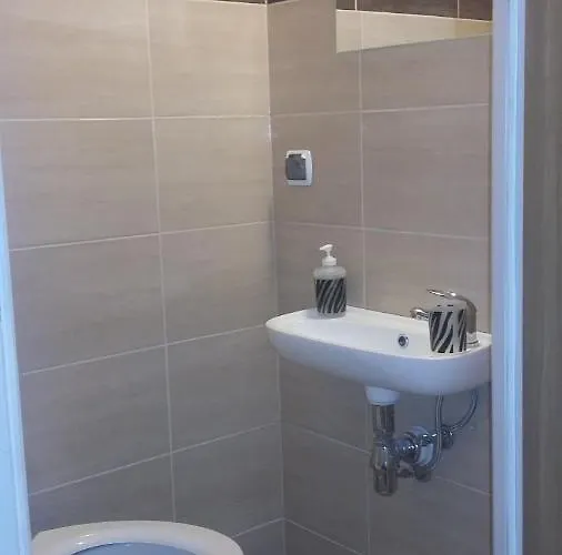 民宿 Goscinne Zosia